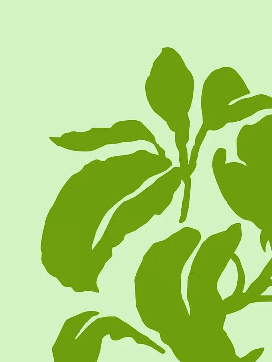 Gros plan sur les feuilles vertes en silhouette du feuillage