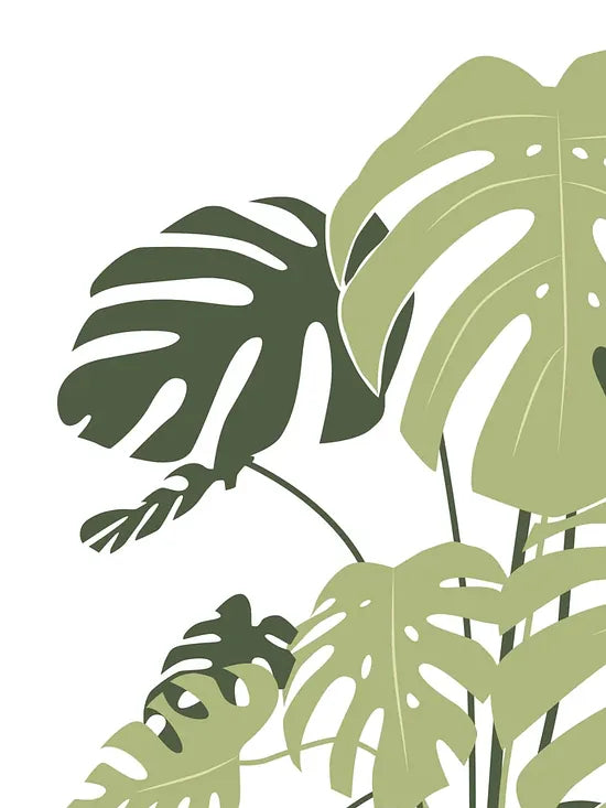 Gros plan sur les decoupes d'une feuille de monstera