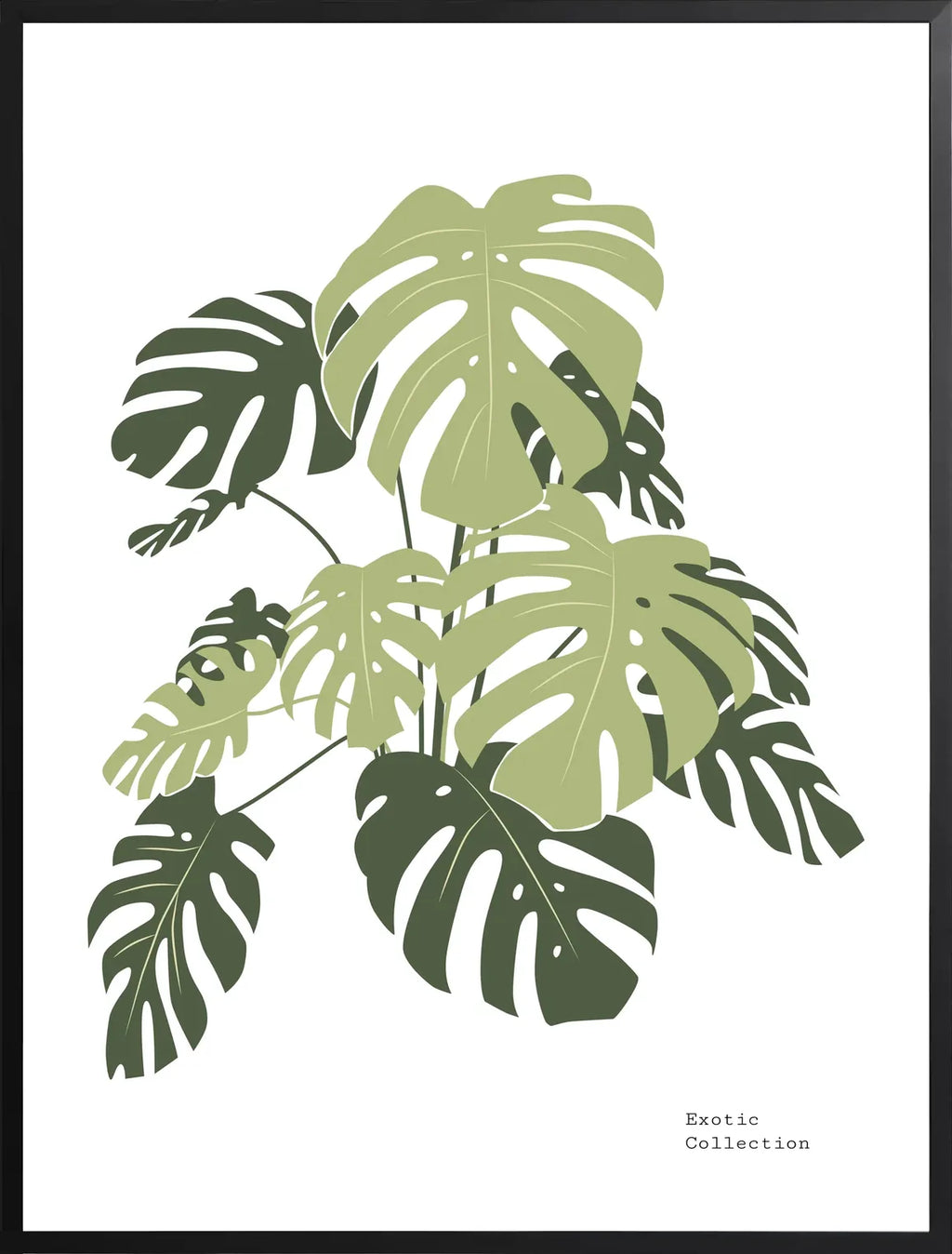 Encadrement noir mat autour des feuilles de monstera