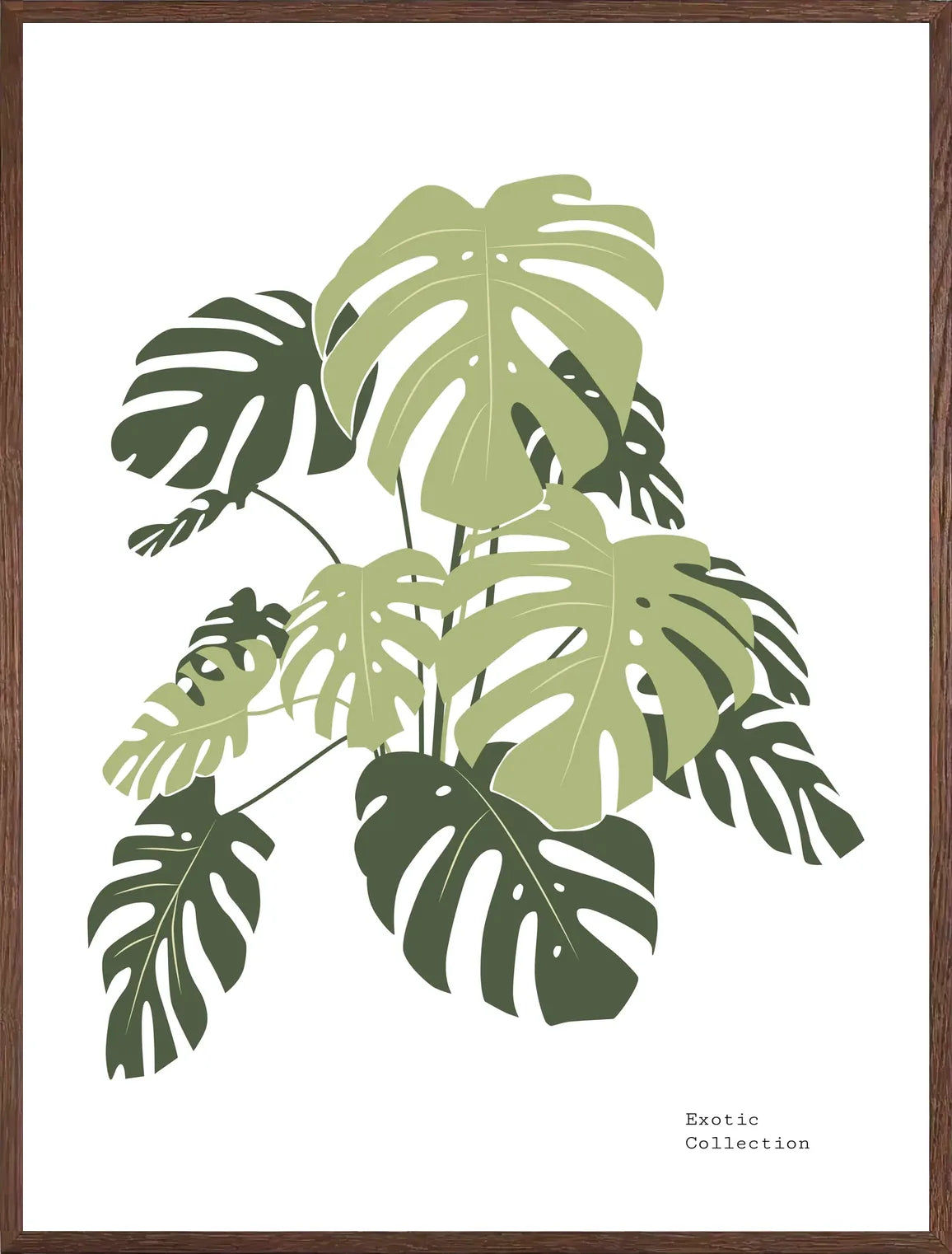 Cadre chene clair entourant l'affiche monstera botanique feuillage