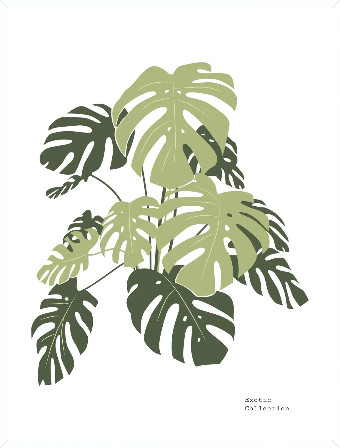 Cadre blanc epure presentant l'affiche monstera botanique