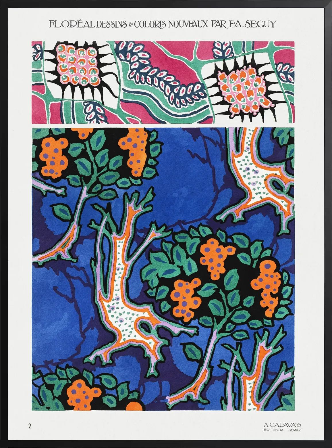 Oeuvre encadrée noir mat, planche botanique avec panneaux rectangulaires ornementaux et fruits stylisés