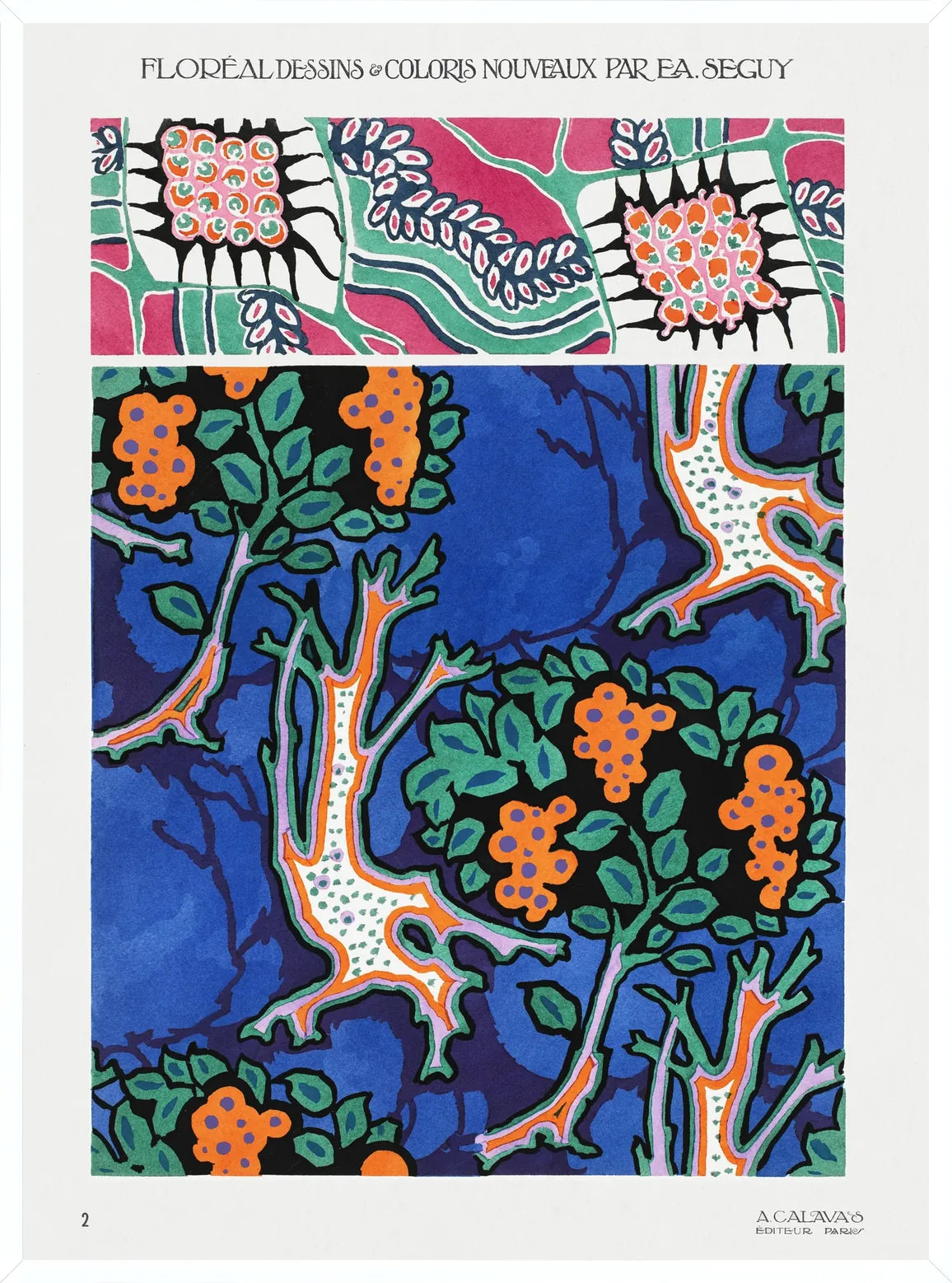 Planche en cadre blanc fin, composition botanique sur fond bleu profond avec branches décoratives