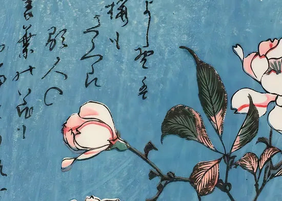 Gros plan sur cerisier en fleurs sur fond bleu