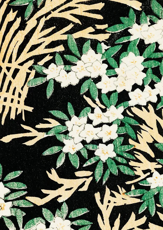Gros plan sur fleurs blanches sur fond noir