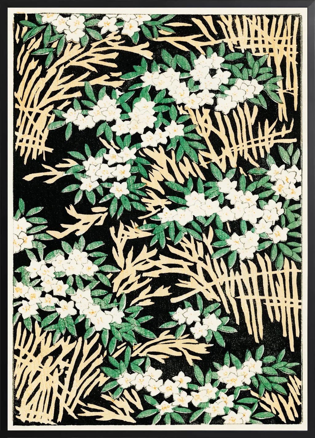 Encadrement noir mat autour de fleurs blanches sur fond noir