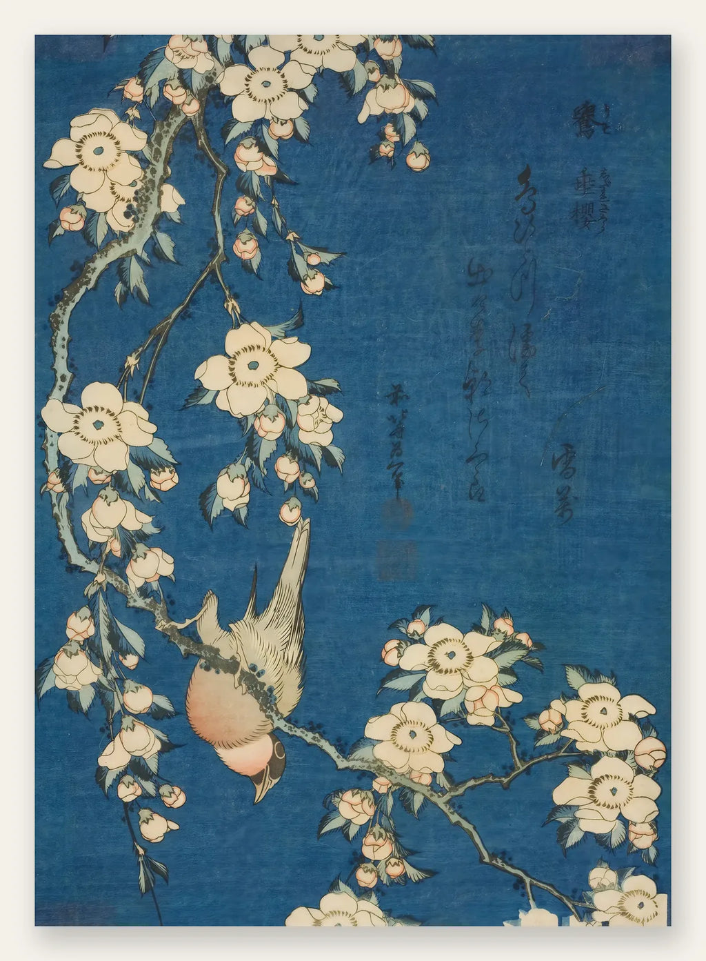 Affiche Hokusai bouvreuil sur cerisier pleureur en fleurs, estampe japonaise indigo