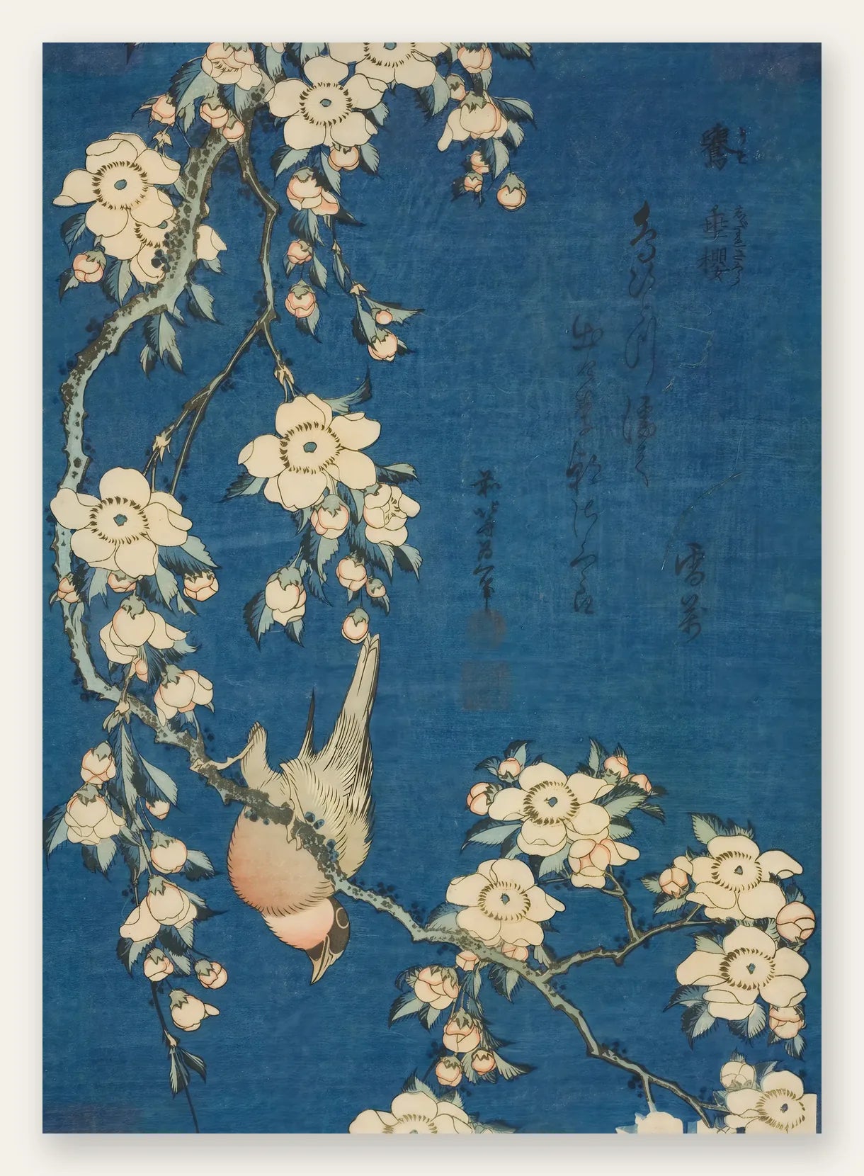Affiche Hokusai bouvreuil sur cerisier pleureur en fleurs, estampe japonaise indigo