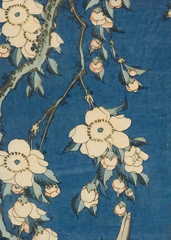 Gros plan sur le bouvreuil rose suspendu au cerisier de Hokusai