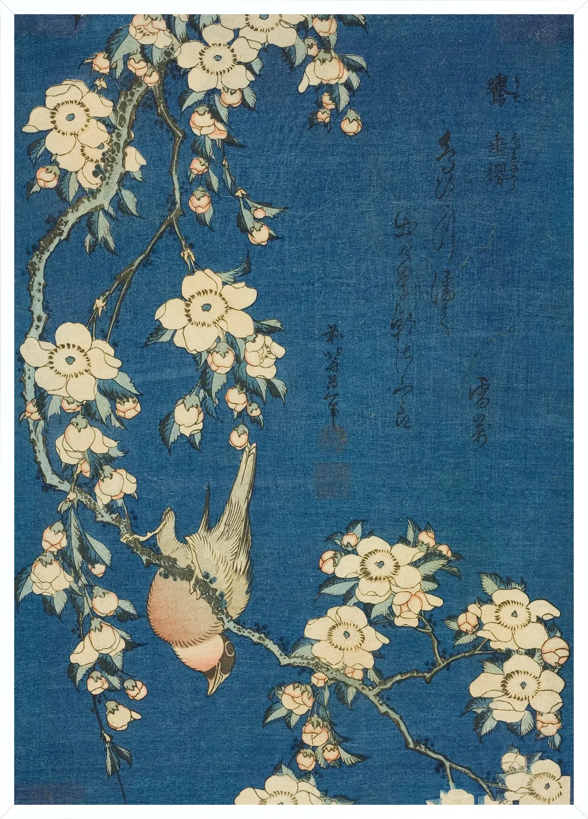 Cadre blanc epure presentant l'affiche Hokusai cerisier et bouvreuil