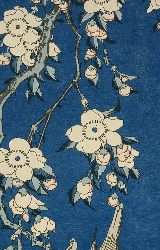 Gros plan sur le bouvreuil Hokusai et le cerisier de l'affiche Tokyo