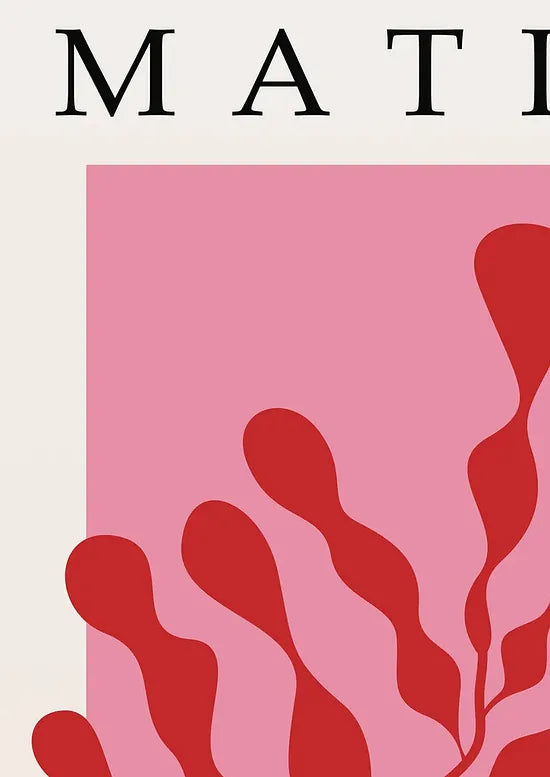 Gros plan sur algue rouge sur rose des papiers decoupes Matisse
