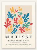 Corails Multicolores en papiers decoupes Matisse sur fond colore