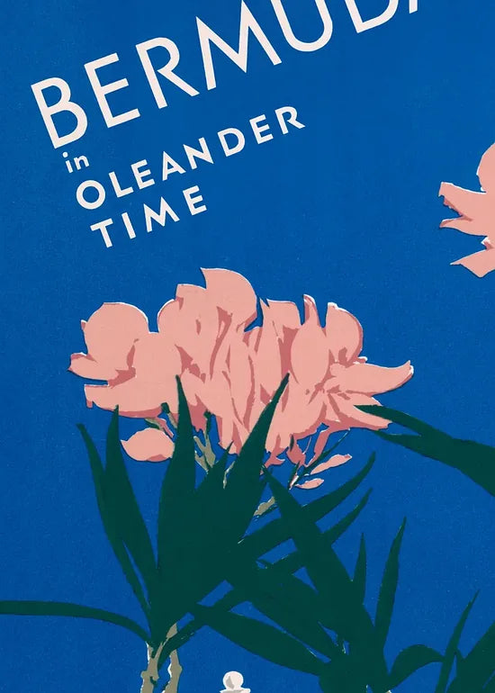 Gros plan sur les fleurs d'oleander roses des Bermudes