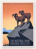 Affiche mouflons National Parks vintage, deux betes sur les rochers au coucher de soleil orange