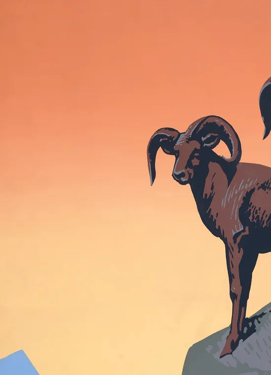 Gros plan sur les mouflons et les rochers du parc national