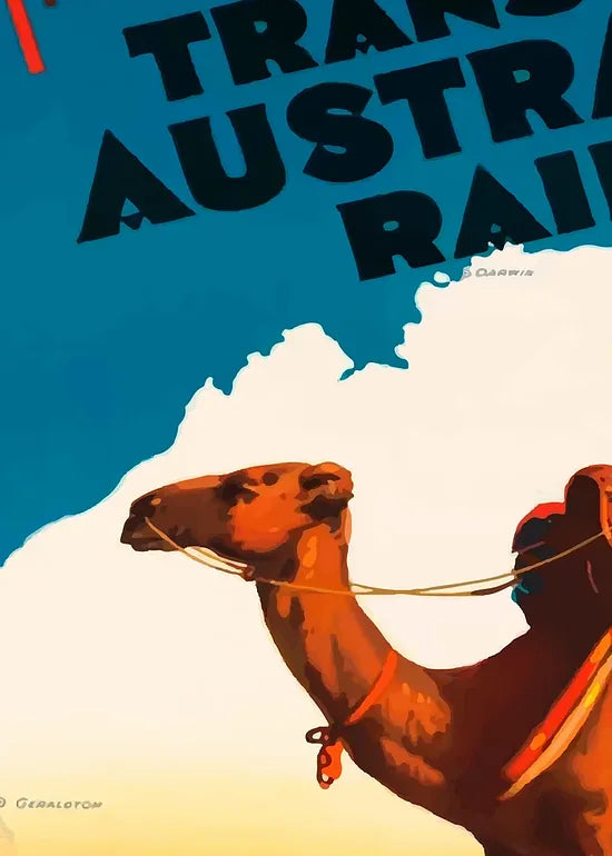 Gros plan sur le chameau et le train a vapeur de l'outback d'Australie
